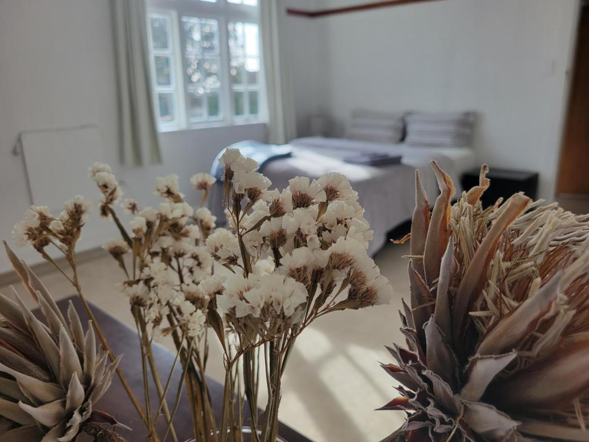 1920s Classic Cozy 2-bedroom In Parnell Auckland